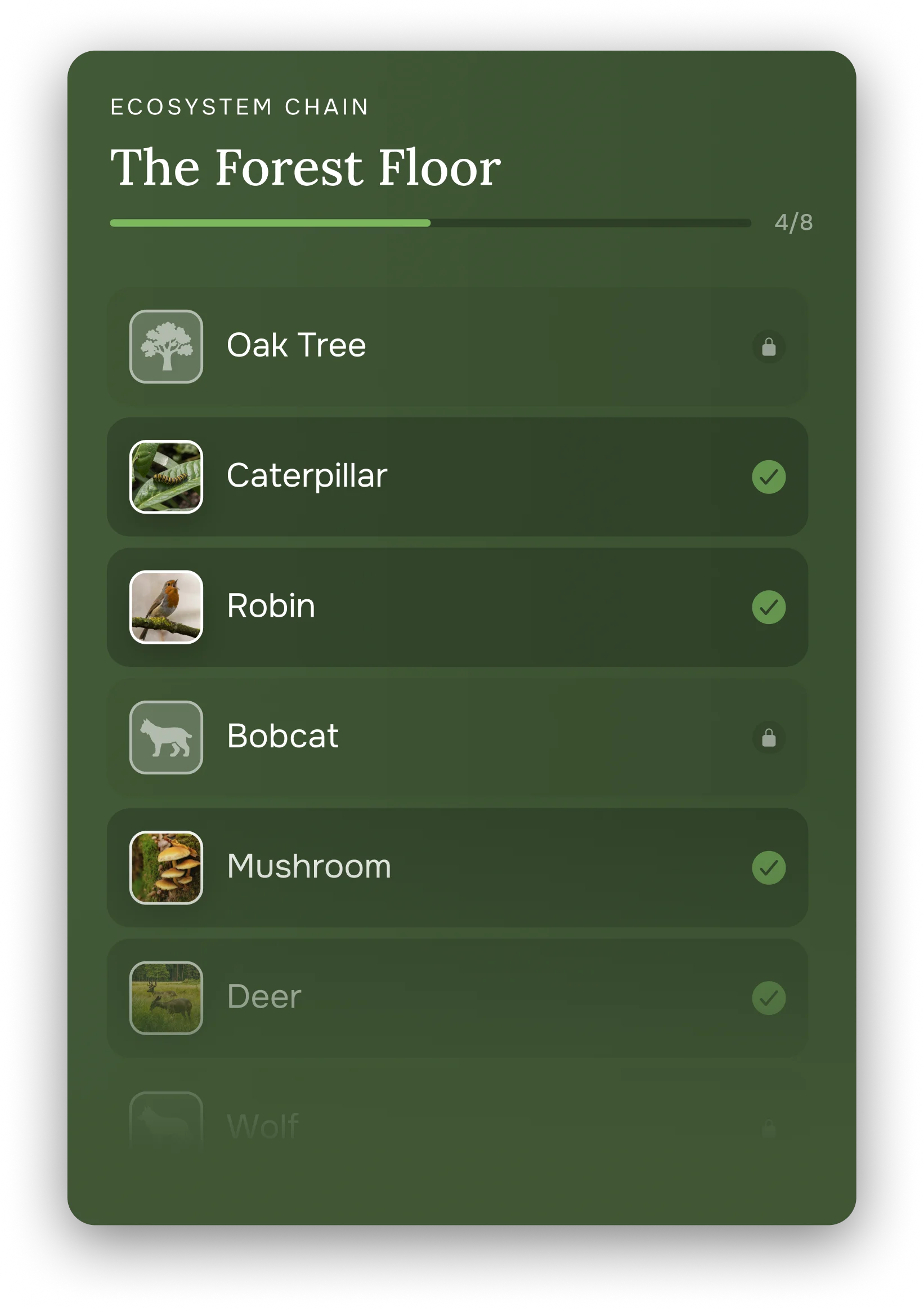 The Forest Floor ecosystem chain showing species progress